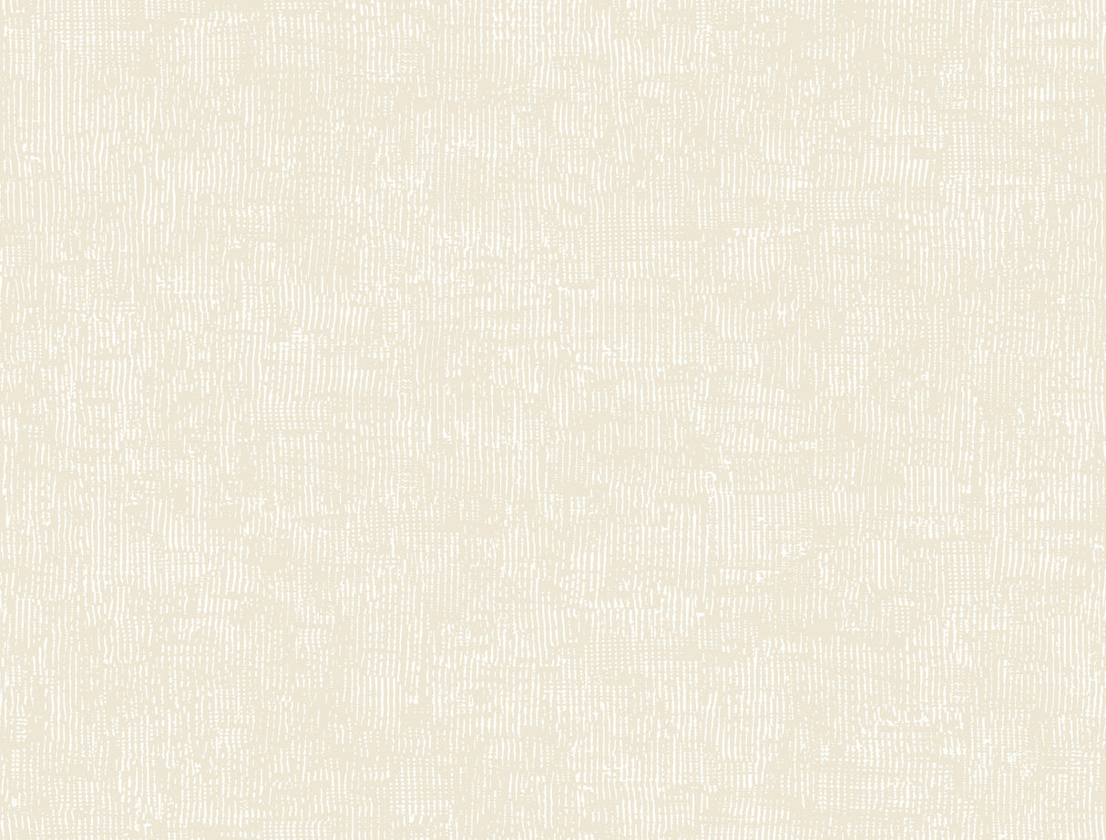 York Trabadillo Plaster Beach wallpaper roll and pattern detail in beige