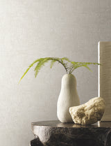 Trabadillo Plaster Fog by York Wallcoverings Small Prints Wallpaper – York Wallcoverings MT5664