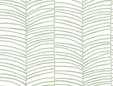 Cascade Palm Chevron Palm Wallpaper MT5674 by York Wallcoverings