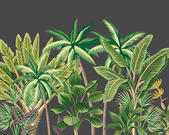Verdant Tropical Palm Trees Grey Wall Mural with Tropical Trees Pattern - Brewster MUR202M