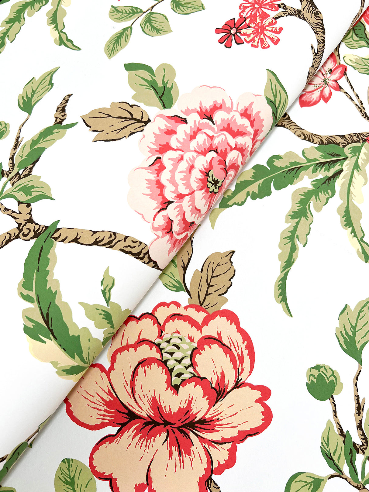 Courtyard Botanical Rose by Ronald Redding Botanical Wallpaper- York Designer Series MX9651