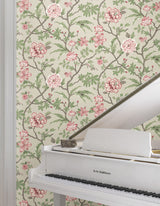 Courtyard Botanical Pink by Ronald Redding Botanical Wallpaper – York Designer Series MX9653