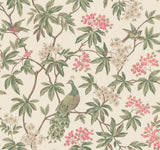 Peacock Estate Cream wallpaper with green peacocks and pink blossoms on a cream ground, 27 in x 27 ft roll