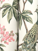 Peacock Estate Cream by Ronald Redding Wallpaper – York Designer Series MX9665