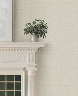 Regent Soft Grey by Ronald Redding Astoria Collection Transitional Raised Ink Chevron Herringbone Unpasted Non Woven Wallpaper - MX9674