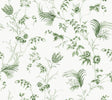 Floral Lace Green Wallpaper by Ronald Redding – 27 in x 27 ft roll, pattern MX9680