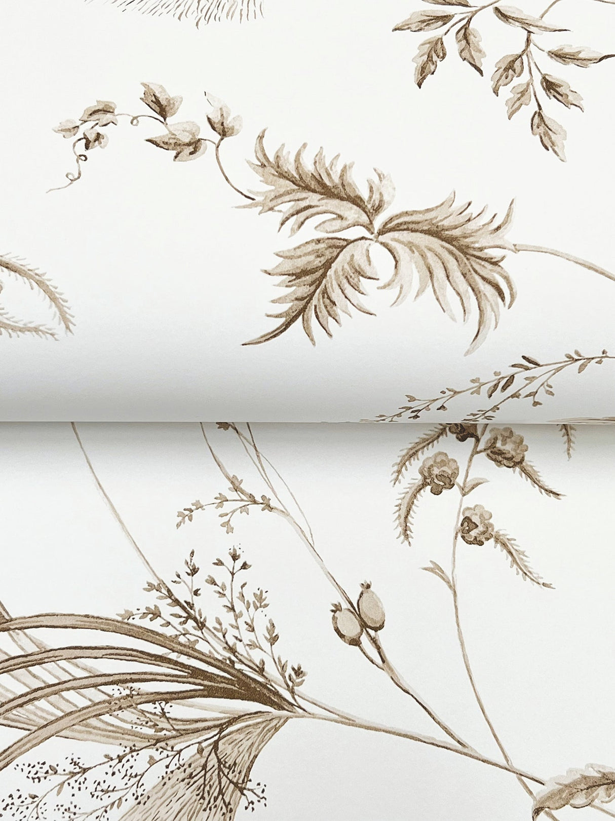 Floral Lace Taupe by Ronald Redding Floral Wallpaper- York Designer Series MX9681