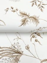 Floral Lace Taupe by Ronald Redding Floral Wallpaper- York Designer Series MX9681