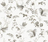 Floral Lace Black Wallpaper by Ronald Redding, pattern MX9682