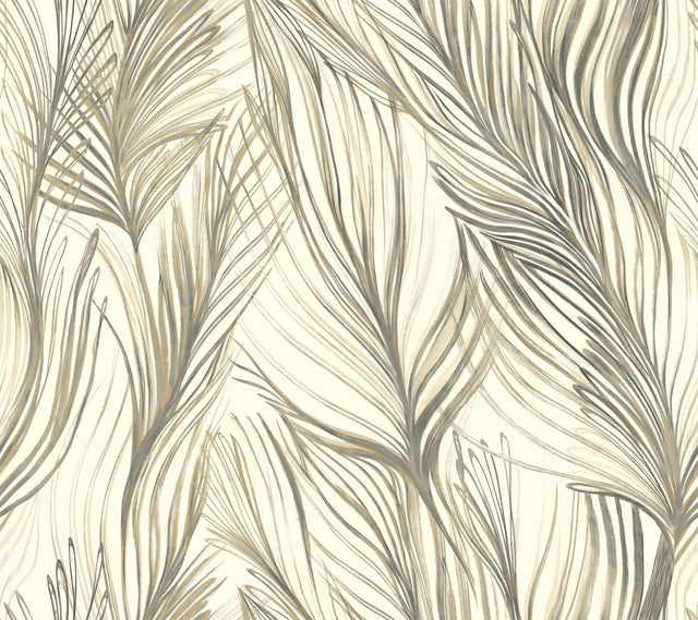Peaceful Plume Dark Grey Wallpaper