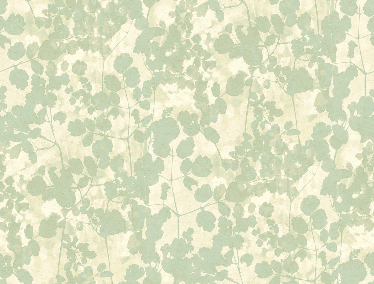 Pressed Leaves Green Wallpaper with Botanical Leaf Silhouette - York NA0517