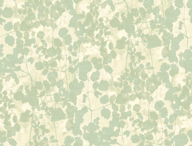 Pressed Leaves Green Wallpaper with Botanical Leaf Silhouette - York NA0517