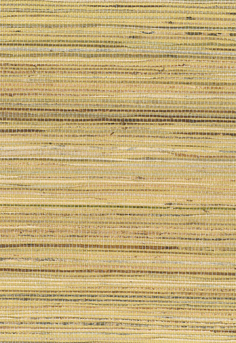 Brown jute grasscloth wallpaper with metallic gold accents