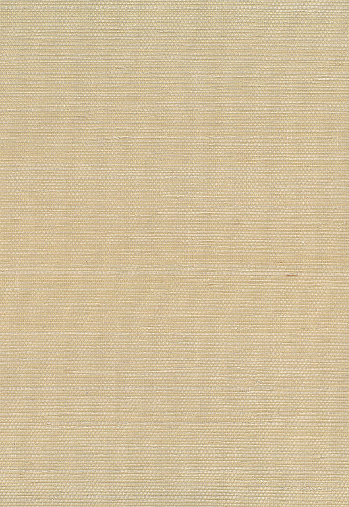 Neutral tan sisal grasscloth texture wallpaper