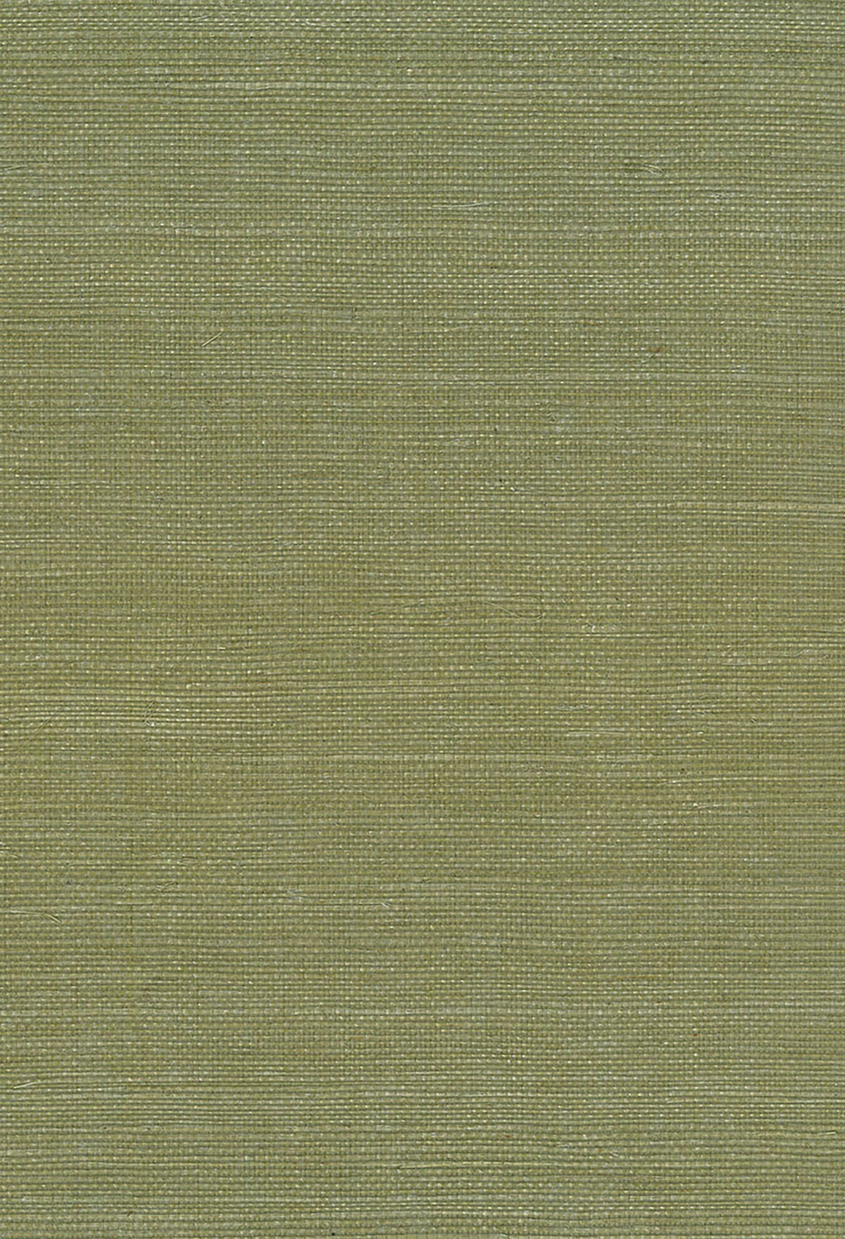 Green sisal grasscloth texture wallpaper