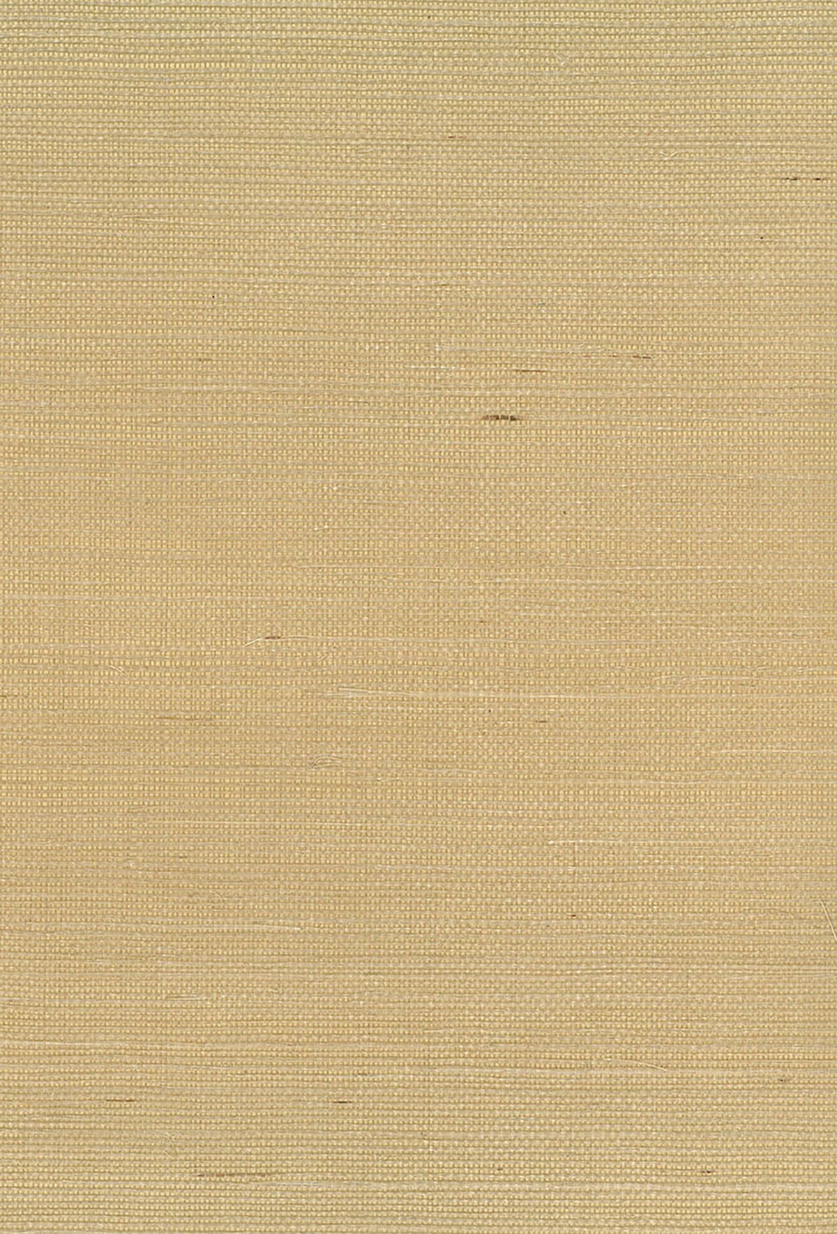 Seabrook Designs Natural Resource NA211 Sisal grasscloth wallpaper in brown with matte finish
