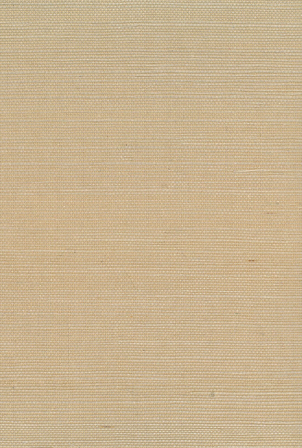 Neutral beige sisal grasscloth wallpaper with a matte woven texture