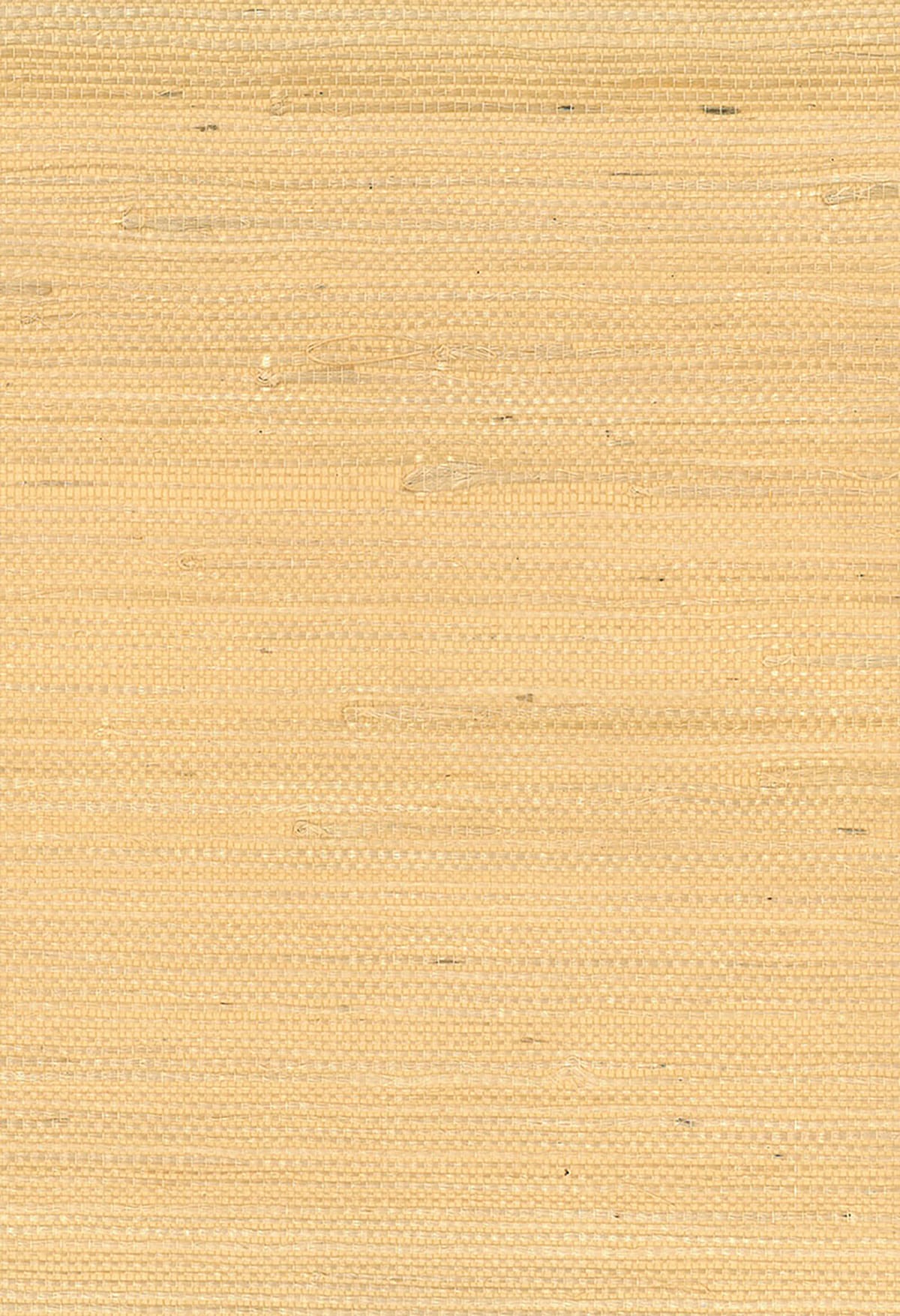 Yellow and gold jute grasscloth wallpaper with natural woven texture