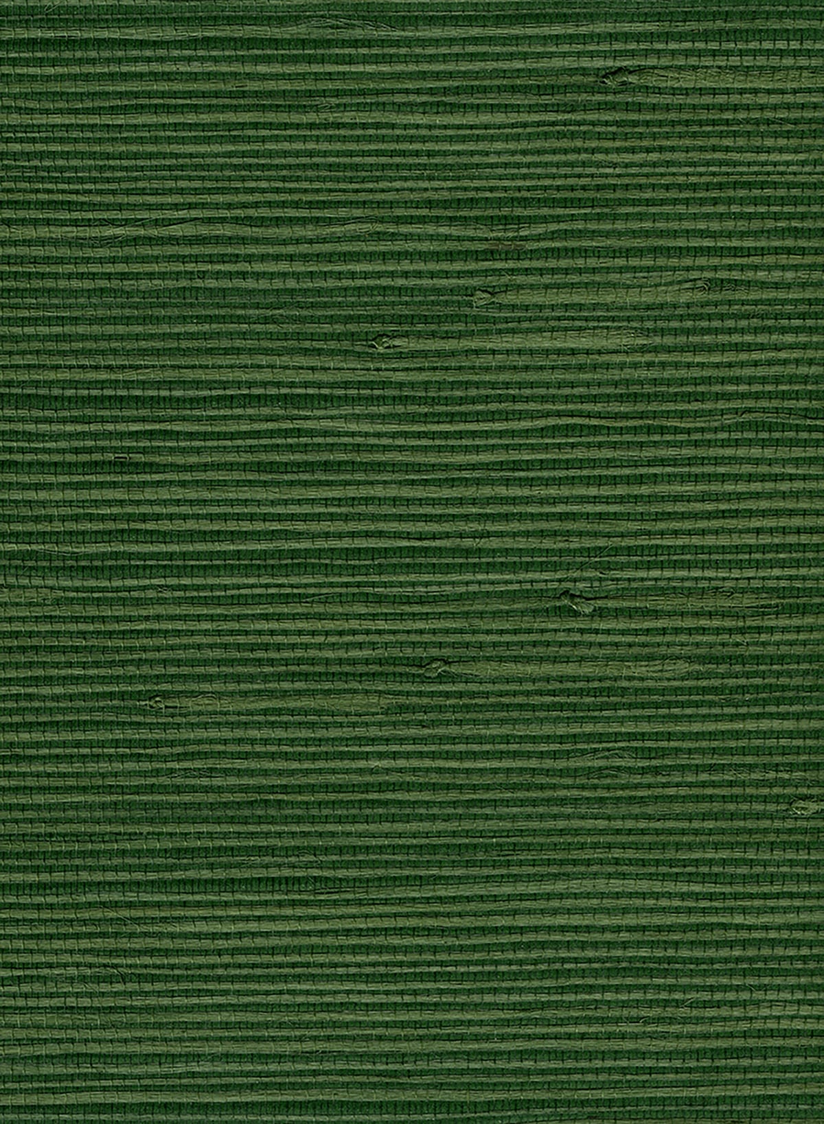Jute Green by Natural Resource Jute Grasscloth Wallpaper – Seabrook Designs NA305 -Sample