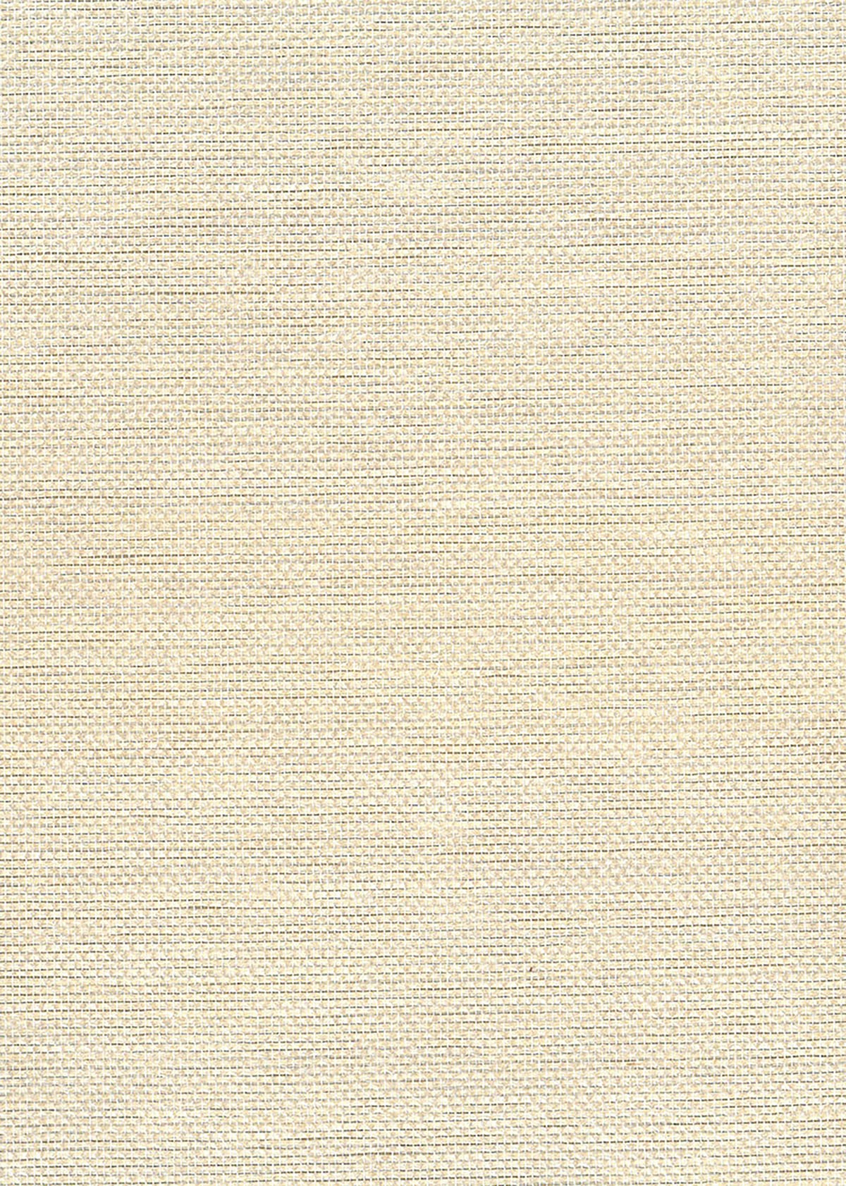 Seabrook Designs NA509 Paperweave grasscloth wallpaper in metallic silver and off white texture