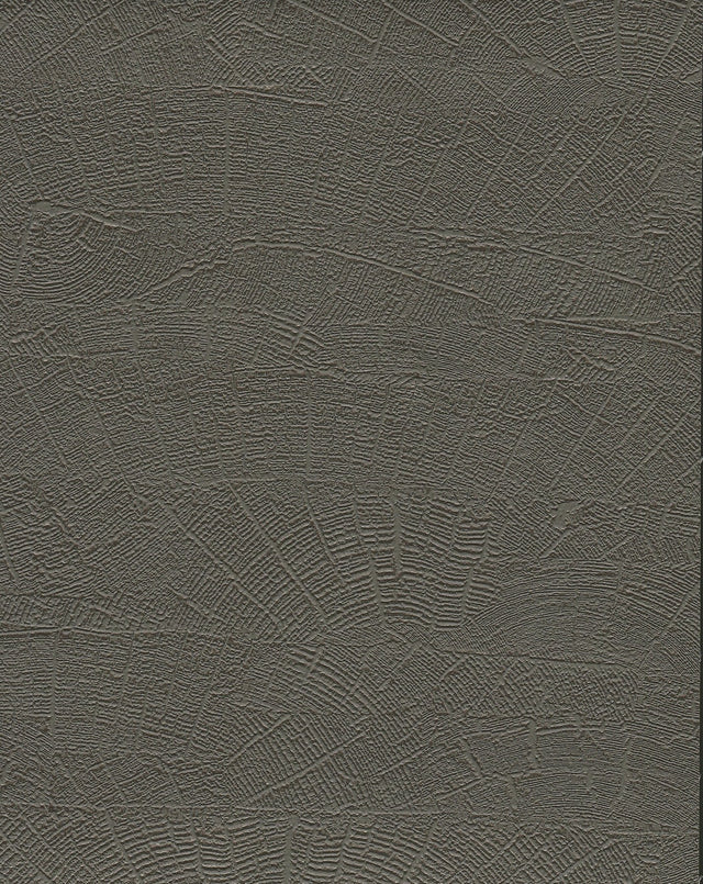 On Deck Grey & Brown Wallpaper with Textural Wood Plank Motif - York ND3064N