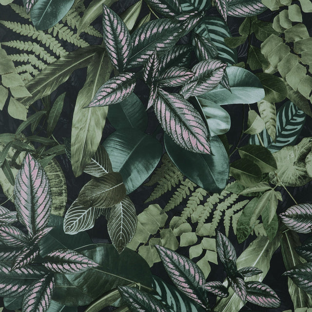 Living Green Wall Peel & Stick Wallpaper in Green with Botanical Leaves Pattern, Tropical Style - NHS4778