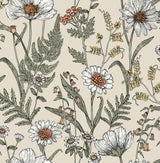 Spring Meadow Cream Peel & Stick Wallpaper with Botanical Flowers Pattern - InHome NHS6179