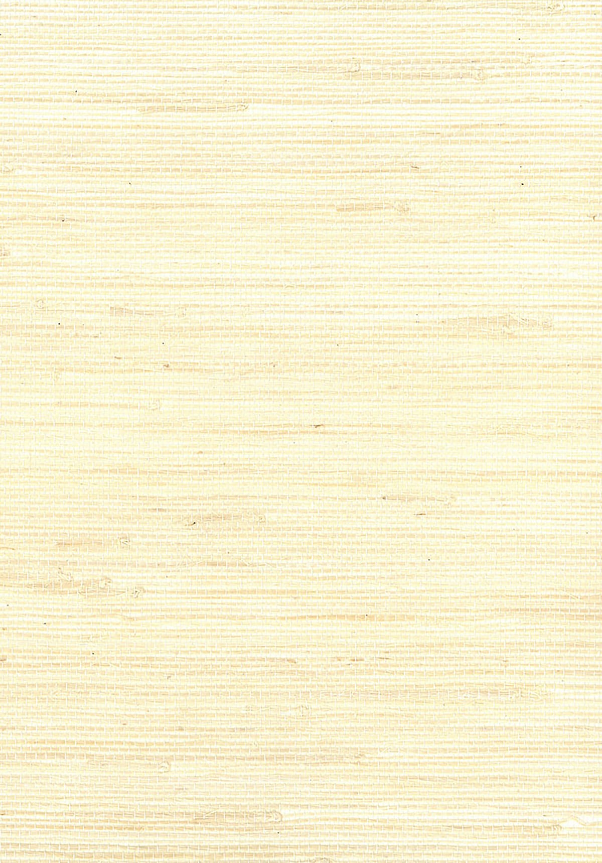 Off-white jute grasscloth wallpaper texture