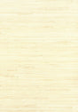 Off-white jute grasscloth wallpaper texture