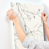 Winter Branches White Wallpaper with Botanical Branch Motif - York NR1524