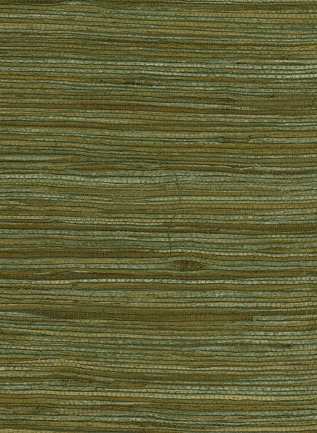 Green and tan natural water hyancinth grasscloth wallpaper texture