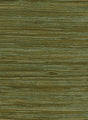 Green and tan natural water hyancinth grasscloth wallpaper texture
