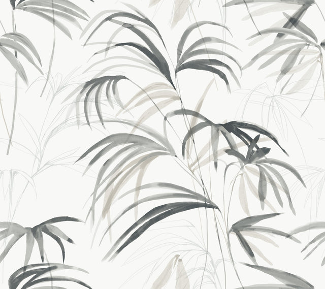 Inky Black Palms Black Wallpaper with Tropical Botanical Watercolor Motif - York NT6123