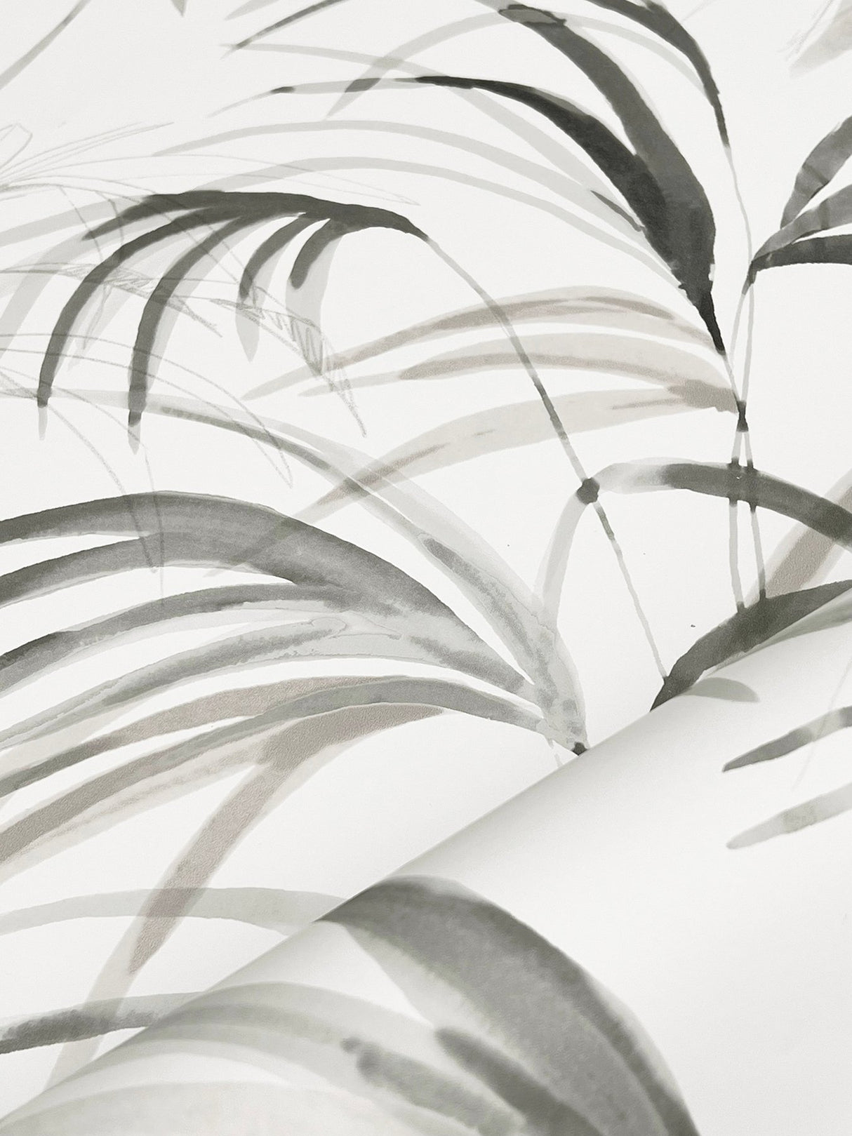 Inky Black Palms Black Wallpaper with Tropical Botanical Watercolor Motif - York NT6123