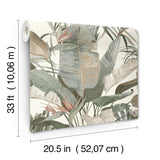 Tropical Cabana White Wallpaper with Tropical Banana Leaf Motif - York NT6131