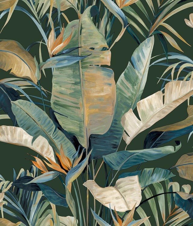 Tropical Green Cabana Wallpaper with Tropical Banana Leaf Motif - York NT6136