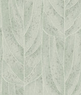 Dicot Spa Leaf Wallpaper with Raised Ink Botanical Eclectic Style - York NT6141