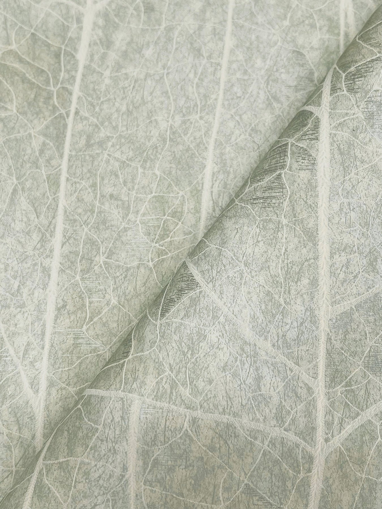 Dicot Spa Leaf Wallpaper with Raised Ink Botanical Eclectic Style - York NT6141
