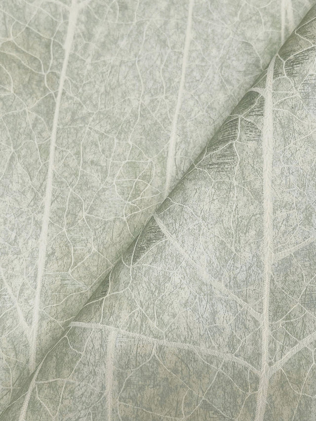 Dicot Spa Leaf Wallpaper with Raised Ink Botanical Eclectic Style - York NT6141