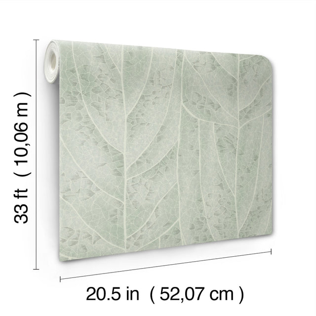 Dicot Spa Leaf Wallpaper with Raised Ink Botanical Eclectic Style - York NT6141