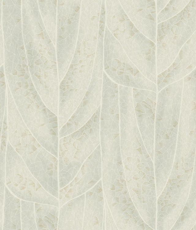 Dicot Light Green Leaf Wallpaper with Eclectic Botanical Style - York NT6142