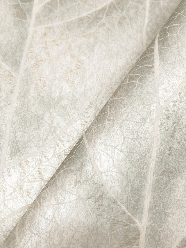 Dicot Light Green Leaf Wallpaper with Eclectic Botanical Style - York NT6142