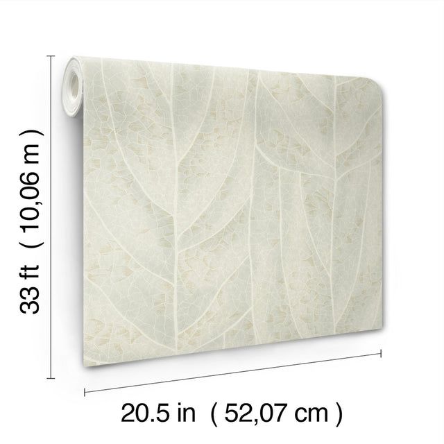 Dicot Light Green Leaf Wallpaper with Eclectic Botanical Style - York NT6142