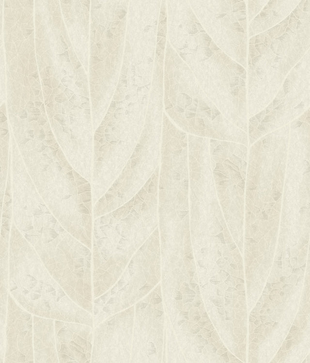 Dicot Neutral Leaf Wallpaper in Neutral with Raised Ink Botanical Pattern, Eclectic Style - York NT6143