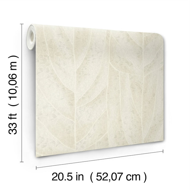 Dicot Neutral Leaf Wallpaper in Neutral with Raised Ink Botanical Pattern, Eclectic Style - York NT6143