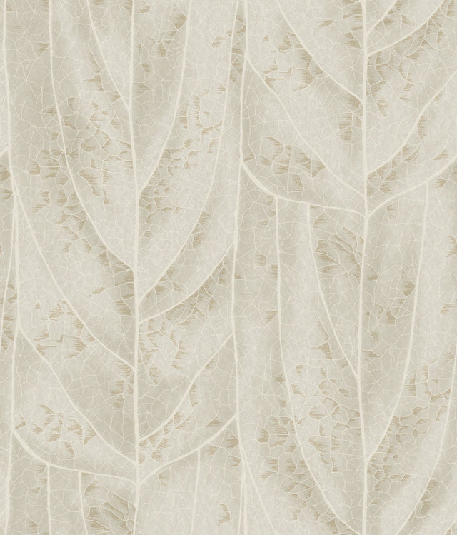 Dicot Beige Leaf Wallpaper with Raised Ink Botanical Pattern, Eclectic Style - York NT6144