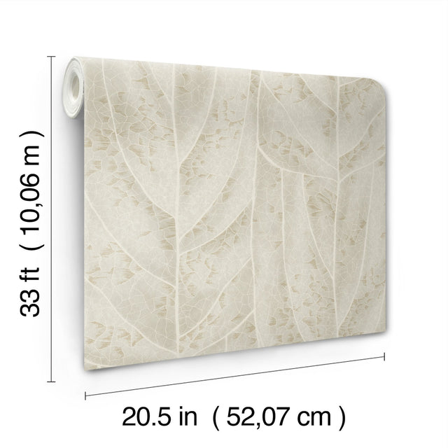 Dicot Beige Leaf Wallpaper with Raised Ink Botanical Pattern, Eclectic Style - York NT6144