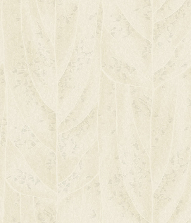Dicot Pearl Leaf Wallpaper with Eclectic Botanical Leaf Motif - York NT6145