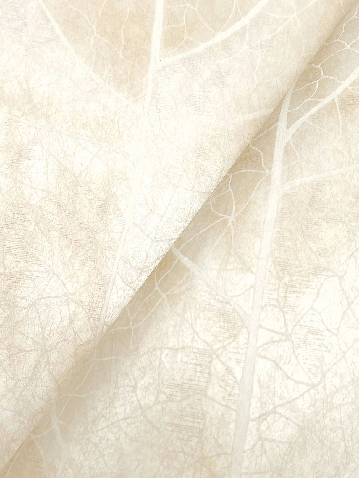 Dicot Pearl Leaf Wallpaper with Eclectic Botanical Leaf Motif - York NT6145