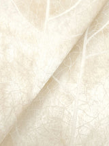 Dicot Pearl Leaf Wallpaper with Eclectic Botanical Leaf Motif - York NT6145